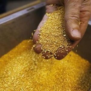 BUY GOLD DUST POWDER ONLINE 4 OZ BEST GOLD MINERS IN AFRICA